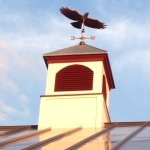 Star Bright Farm - @starbrightfarm - Instagram