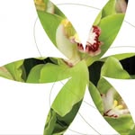 Starbright Floral Design - @starbrightnyc - Instagram