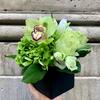 Starbright Floral Design - @starbrightnyc - TikTok
