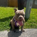 star cooper - @starcooper2 - Instagram