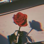 star gomez - @star_gomez_z - Instagram