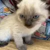 star - @star.martinez14 - TikTok