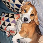 STAR AGE Michael - @michael_thebeagle - Instagram