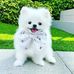 Star Richard - Facebook