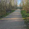 starr young - @starr.young1 - TikTok