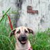 Starla Buddy - Facebook