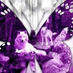 Starla Green - @bookworm19448 - Instagram