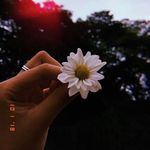 Tengku Gafiza Lestari - @starla.green.777 - Instagram