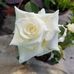 Starla Longsworth - Facebook