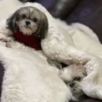 Pony & Starla - @pony_and_starla_ramirez - Instagram