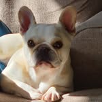 Starla Smith - @starla.smith.58 - Instagram