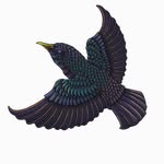 Starling Tree - @starlingtree - Instagram