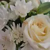 Starla Williams Pigg - @starla.williams.p - TikTok