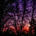 Starr Barnett - Facebook