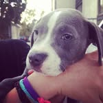 Starr Bell - @lanehydb493 - Instagram