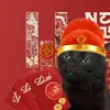 Lê Phúc Hậu - @starr.bush0_6546 - TikTok