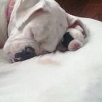 Star butler - @star_butler2006 - Instagram