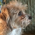 starrbyrd - @fairebyrd - Instagram