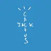 Carterrrr ˗ˏˋ ✞ ˎˊ˗ - @5starrr.carter - TikTok