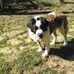 Starr Corcoran - Facebook