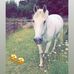 Starr cox - Facebook