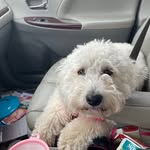 Starr Cox - @estarrsky - Instagram