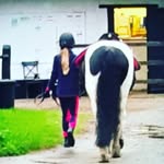 Starr Cox-roberts - @_horses_slime_ - Instagram