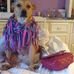 Starr Davidson - Facebook
