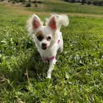 Star Delgado - Facebook