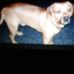 Starr Fitzgerald - Facebook