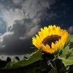 Starr Ford - @fordnight - Instagram