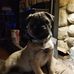 Starr Frost - Facebook