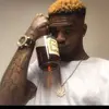 starrgardner306 - @starrgardner306 - TikTok