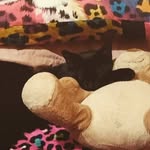 Starr Hamilton - @starrwaterfield - Instagram