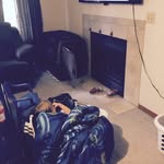 Star harper - @star_theboredchild2 - Instagram