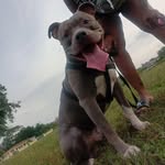 Star Iverson - @staronthelow - Instagram