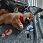 Starr Olson - @starr461 - Instagram