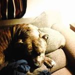 Starr Parker - @starr.parker - Instagram