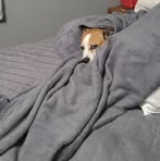 Starr Patterson - Facebook
