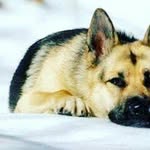 starr patterson - @rozysmom - Instagram