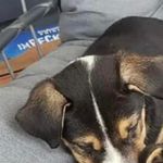 Starr Snyder - @sfsnyder66 - Instagram