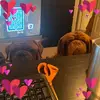 adriannestarrstevens - @adriannestarrstevens - TikTok