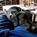 Steen Petersen - @steen.petersen.9634 - Instagram