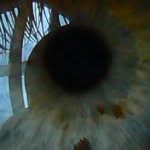 Steeve Tremblay - @steeve_tremblay - Instagram