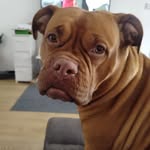 Stef Smith - @steffismith777 - Instagram