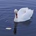 Stefan Batory - Facebook