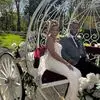 Stefan Bishop - @stefan.bishop6 - TikTok