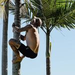 Stefan Bradley - @bradleystefano - Instagram
