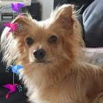 Stefan Brock - @stefan6872 - Instagram