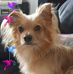 Stefan Brock - Facebook